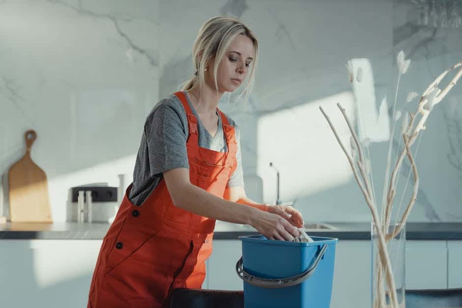 Image of a house cleaner deep cleaning a kitchen with a sparkling finish